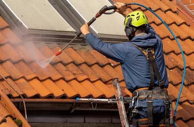 Démoussage et hydrofuge de toiture à Riocaud